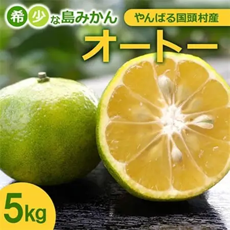 【2026年10月頃から順次発送】やんばる国頭村産 希少な島みかん「オートー」5kg【1662092】