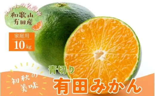 【先行予約】 有田育ちの ご家庭用 訳あり 青切り 有田みかん 10kg＋200g(痛み補償分) ※先行予約 2026年9月中旬～10月上旬に順次発送 ※北海道・沖縄・離島配送不可 【ard001-c-10C】