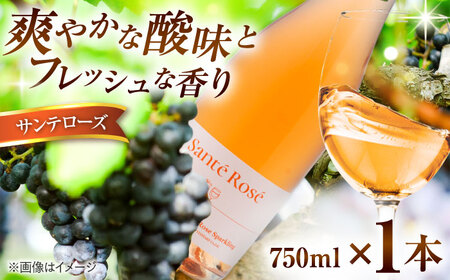 ワイン 【2025年】サンテローズ（カベルネソーヴィニヨンロゼ・スパークリング）750ml×1本 [AICS090] ワイン