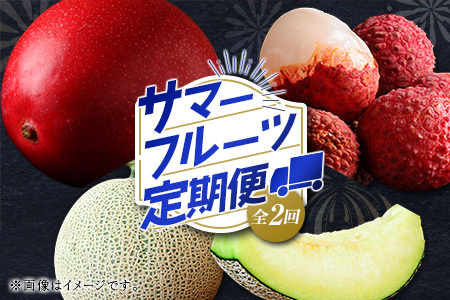 サマーフルーツ定期便 全2回 ＜メロン・マンゴー＆ライチ＞※2026年6月開始 旬 果物【E242】