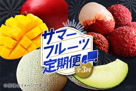 サマーフルーツ定期便 全3回＜メロン・マンゴー・ライチ＞ ※2026年5月開始 旬 果物【E244】