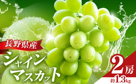 【2026年先行予約】シャインマスカット 2房  (約1.3kg）（2026年9月下旬頃より発送予定）