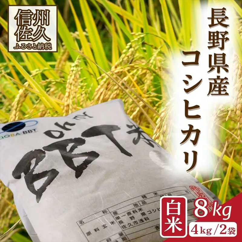 【令和8年産・白米8kg】特別栽培米　BBT米（五郎兵衛米） 〈2026年10月中旬頃～順次発送〉 先行予約　新米　信州　こしひかり【 米 コメ 白米 精米 お米 こめ おこめ 予約 備蓄品 コシヒカリ 長野県 佐久市 】