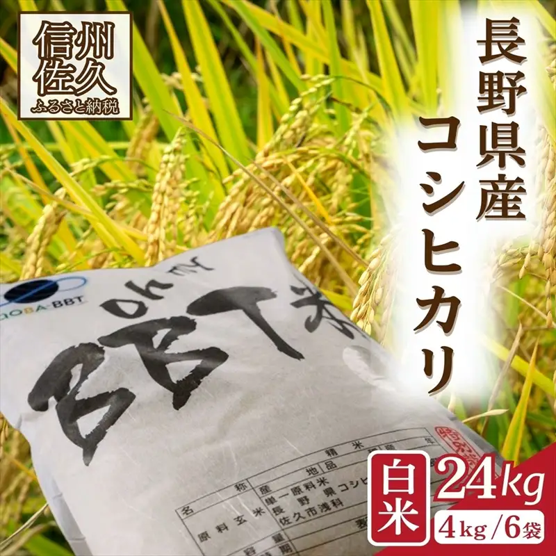【令和8年産・白米24kg（4kg×6袋）】特別栽培米　BBT米（五郎兵衛米） 〈2026年10月中旬頃～順次発送〉 先行予約　新米　信州　こしひかり【 米 コメ 白米 精米 お米 こめ おこめ 予約 備蓄品 コシヒカリ 長野県 佐久市 】