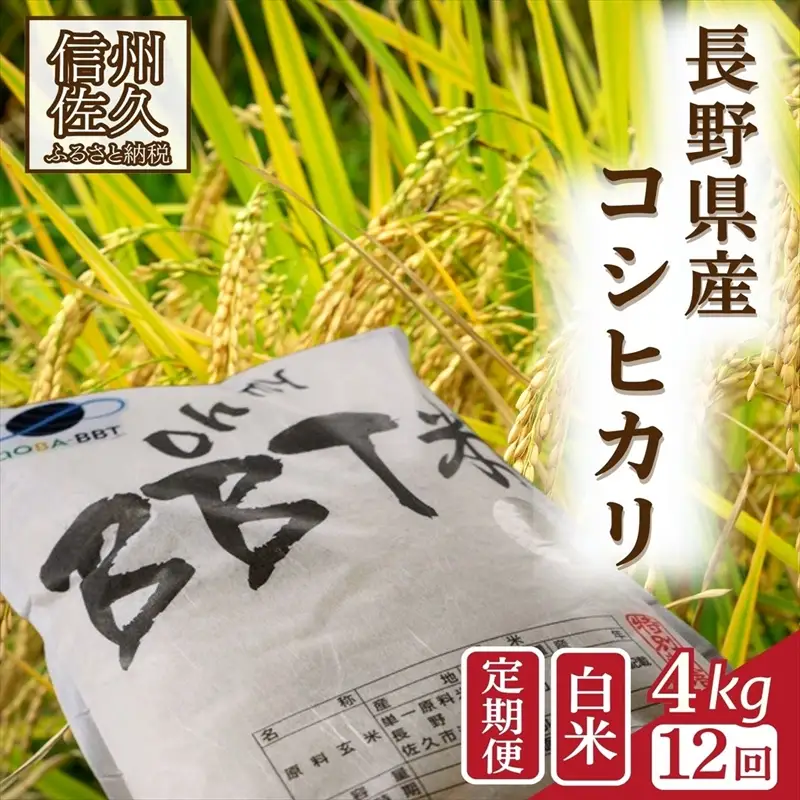 【令和8年産・白米4kg×12カ月定期便】　特別栽培米　BBT米（五郎兵衛米） 〈2026年10月中旬頃～順次発送〉 先行予約　新米　信州　こしひかり【 米 コメ 白米 精米 お米 こめ おこめ 予約 備蓄品 コシヒカリ 長野県 佐久市 】