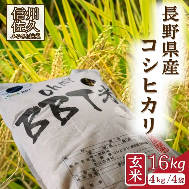 【令和8年産・玄米16kg（4kg×4袋）】特別栽培米　BBT米（五郎兵衛米） 〈2026年10月中旬頃～順次発送〉 先行予約　新米　信州　こしひかり【 米 コメ 玄米 お米 こめ おこめ 予約 備蓄品 コシヒカリ 長野県 佐久市 】