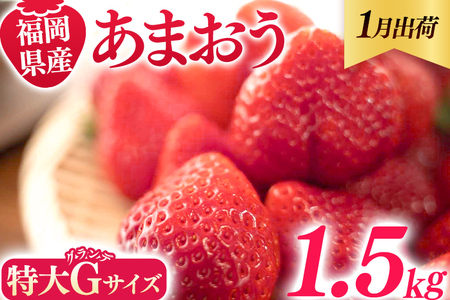 福岡県産 あまおう 1500g （250g×6パック） いちご 1月以降順次発送 いちご 苺 フルーツ 果物 くだもの 大粒Gサイズ グランデ 農家直送 大粒 不揃い 福岡県 福岡 九州 グルメ お取り寄せ