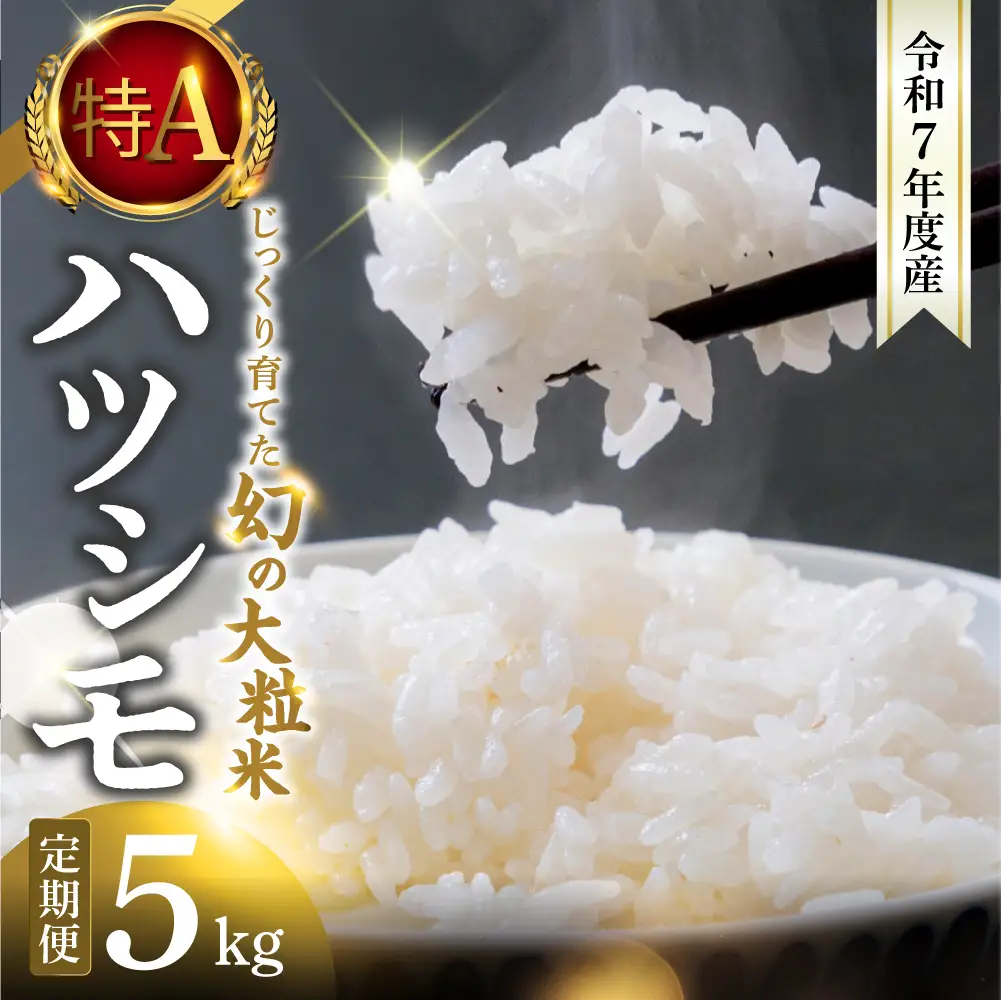 【令和7年度産】精米 定期便 ハツシモ 5kg｜ハツシモ