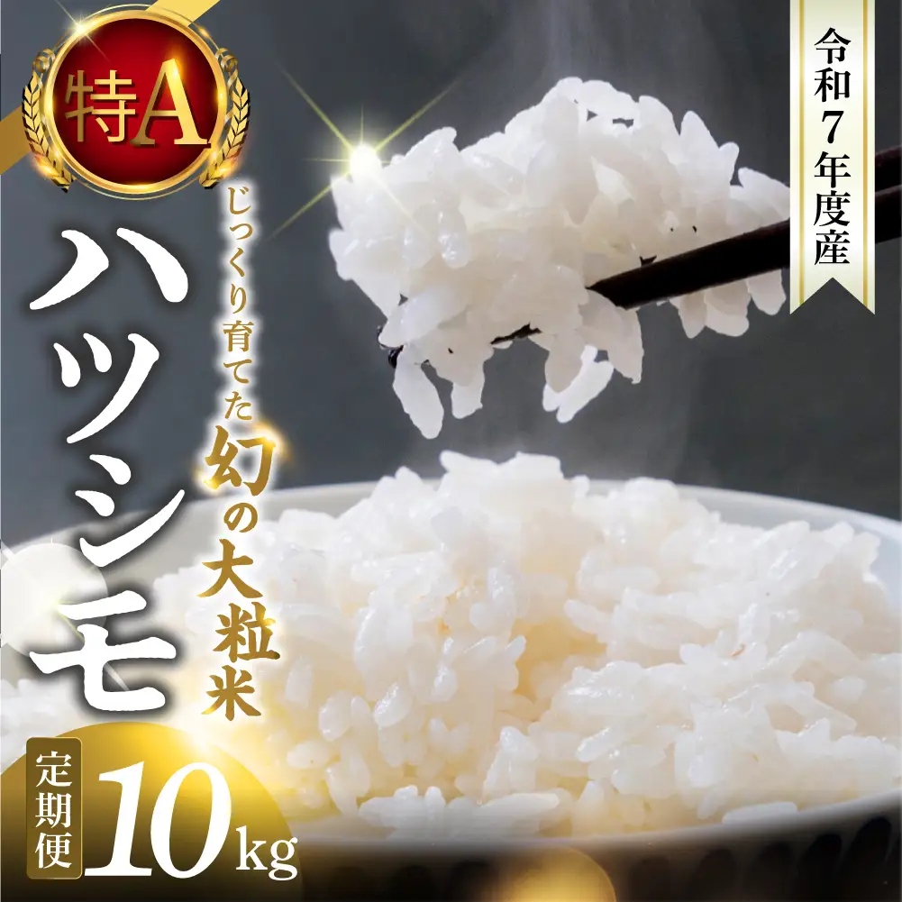 【令和7年度産】精米 定期便 ハツシモ 10kg｜ハツシモ