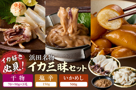 【イカ好き必見！】浜田名物イカ三昧セット（干物・塩辛・いかめし） 【025_0439】