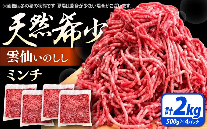 ジビエ 猪肉 ミンチ 2kg [SDB013] ｜ジビエ