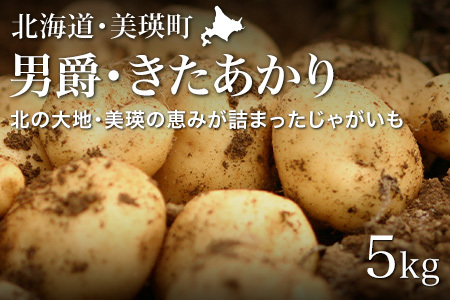 じゃがいも 【令和８年産予約受付！】男爵・北あかり計5kg 男爵 キタアカ じゃがいも  [006-27]