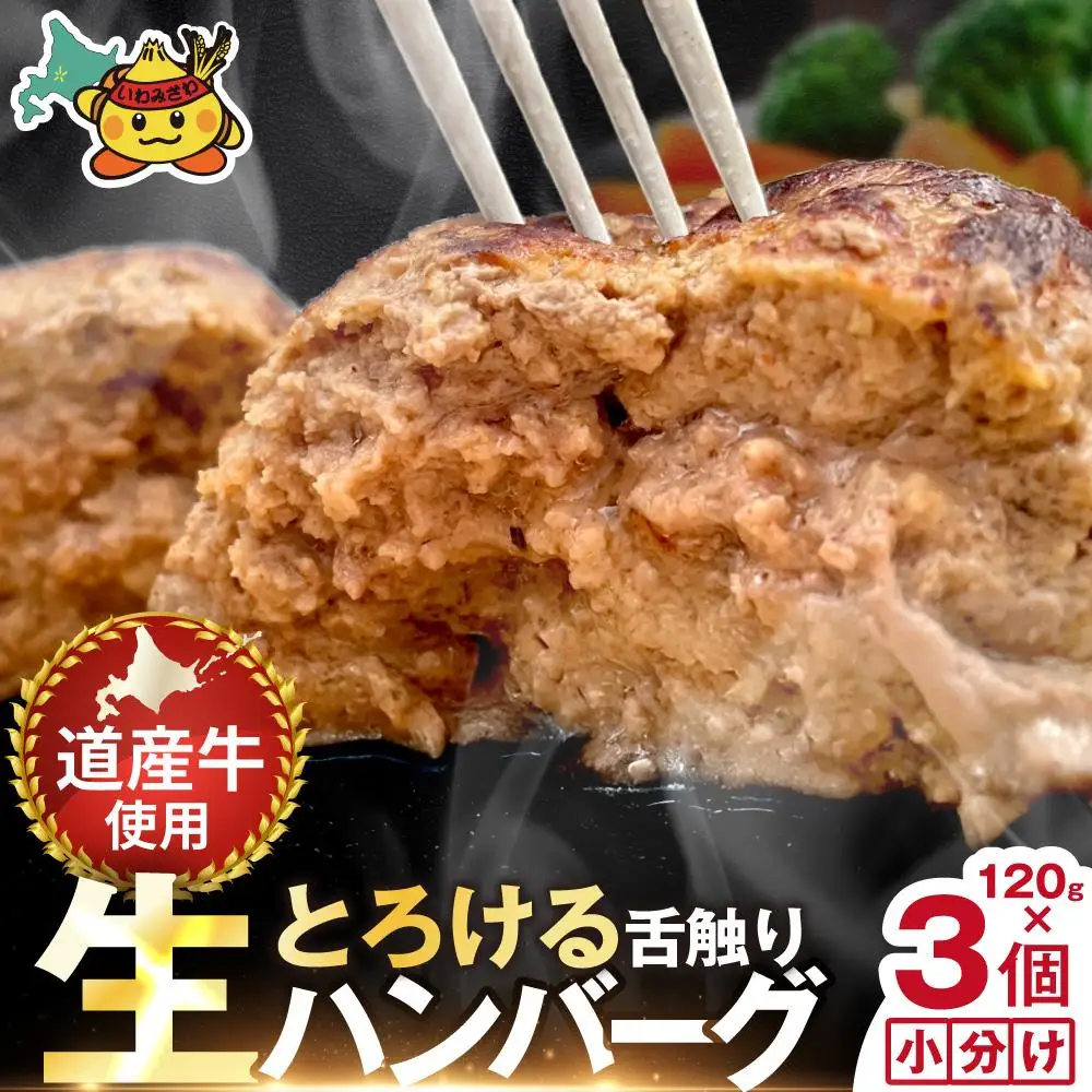 生ハンバーグ 360g(120g×3個)