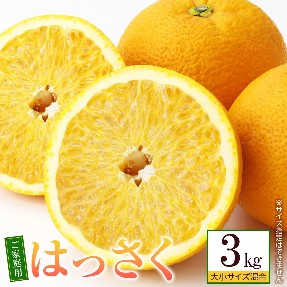 はっさく 八朔 約3kg 大小サイズ 混合 ご家庭用
