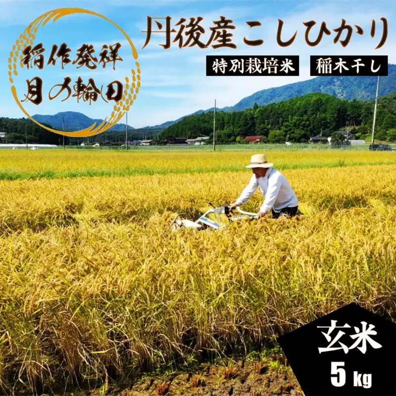 2026年産 京丹後産稲作発祥の地コシヒカリ特別栽培米 月の輪田米 玄米5kg（天日干し） ふるさと納税 米 玄米 お米 ご飯 ごはん コシヒカリ 京丹後産 峰山 農家応援 生産者応援 送料無料