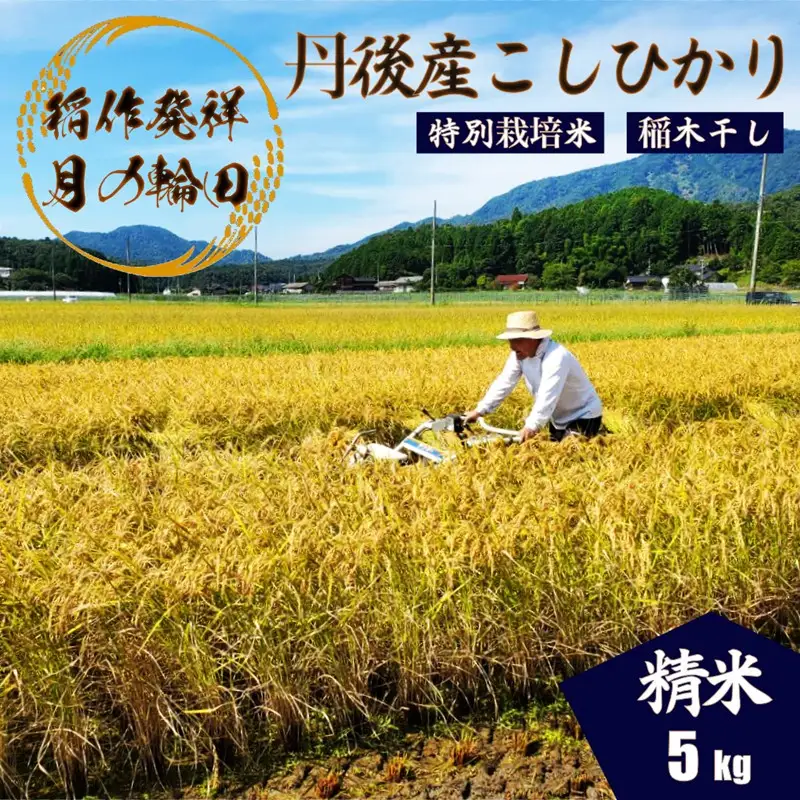 2026年産 京丹後産稲作発祥の地コシヒカリ特別栽培米 月の輪田米 精米5kg（天日干し） ふるさと納税 米 玄米 お米 ご飯 ごはん コシヒカリ 京丹後産 峰山 農家応援 生産者応援 送料無料