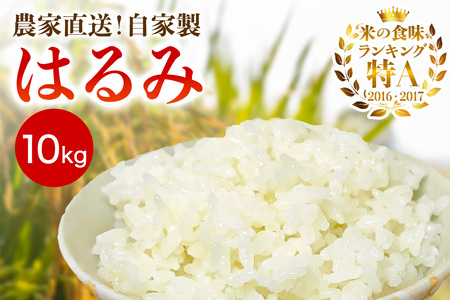 [令和7年産] 伊勢原産 精米10kg(5kg×2袋) はるみ 農家直送！加藤さんちのうんめぇ！自家製米｜お米 おこめ コメ 白米 神奈川 伊勢原 ブランド米 [0524]
