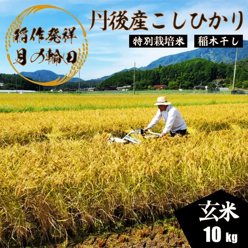 2026年産 京丹後産稲作発祥の地コシヒカリ特別栽培米 月の輪田米 玄米10kg（天日干し） ふるさと納税 米 玄米 お米 ご飯 ごはん コシヒカリ 京丹後産 峰山 農家応援 生産者応援 送料無料