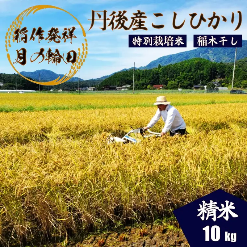 2026年産 京丹後産稲作発祥の地コシヒカリ特別栽培米 月の輪田米 精米10kg（天日干し）　ふるさと納税 米 玄米 お米 ご飯 ごはん コシヒカリ 京丹後産 峰山 農家応援 生産者応援 送料無料