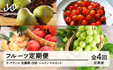 【先行予約】【春始まり】フルーツ 定期便 全4回 2026年産 ラ・フランス さくらんぼ 佐藤錦 もも 白桃 ぶどう シャインマスカット 果物 山形県産 送料無料 ※沖縄・離島への配送不可 mm-ft4yz