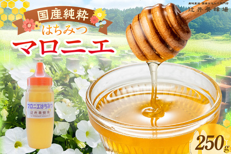 【国産純粋 マロニエはちみつ 250g ポリ容器】国産 純粋 マロニエ はちみつ ハチミツ 蜂蜜 栃の木 やさしい 香り まろやか パン ヨーグルト おすすめ 兵庫県  辻井養蜂場 81-01