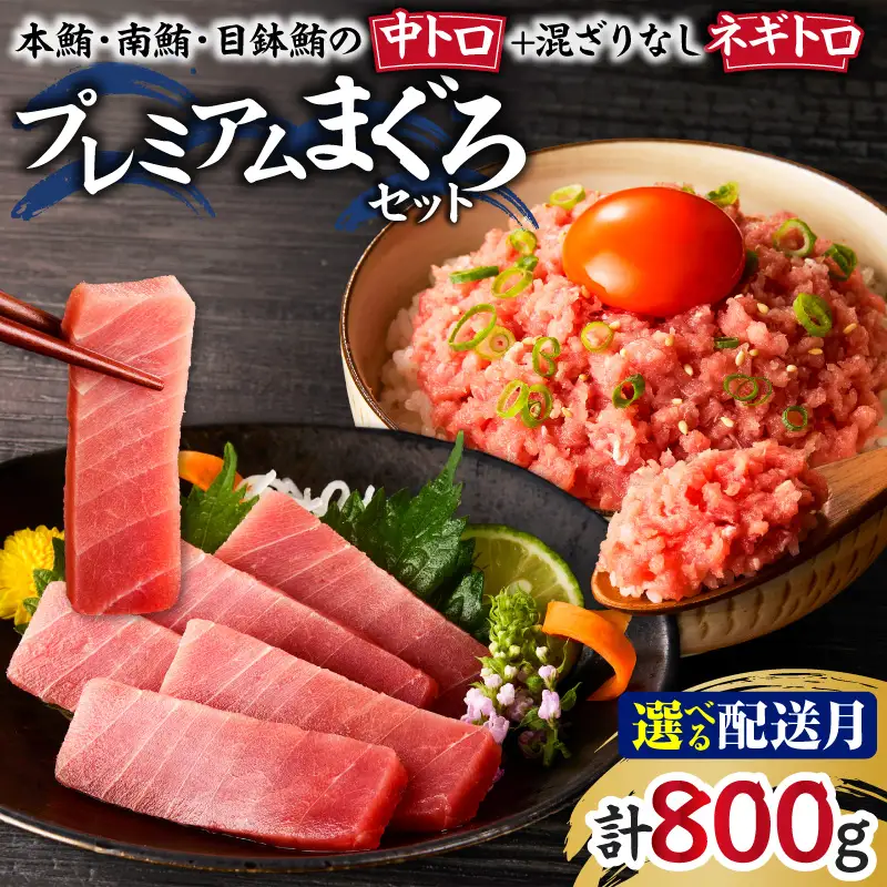 ＜選べる配送月＞ まぐろ 専門店 湊魚問屋 プレミアム まぐろセット M005-056 冷凍 マグロ