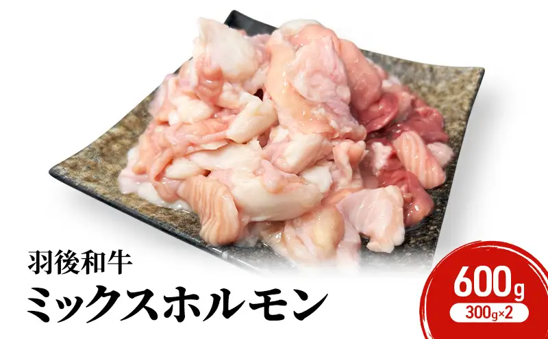 秋田県 羽後町産 羽後和牛 ミックスホルモン 600g （300g×2）【 焼肉 ホルモン BBQ バーベキュー キャンプ 】