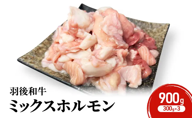 秋田県 羽後町産 羽後和牛 ミックスホルモン 900g （300g×3）【 焼肉 ホルモン BBQ バーベキュー キャンプ 】
