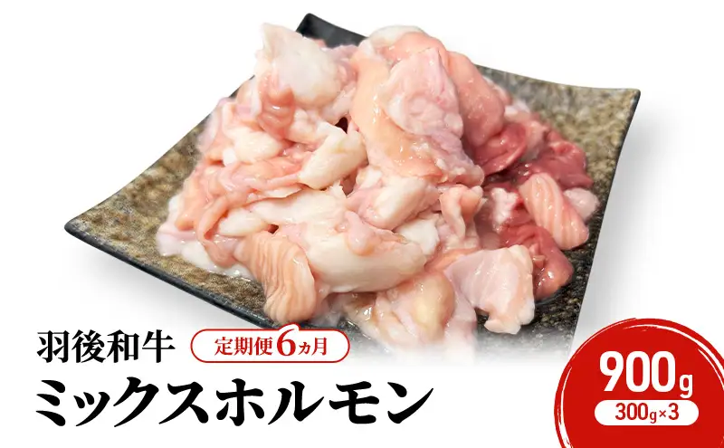 《 定期便 6ヵ月 》 秋田県 羽後町産 羽後和牛 ミックスホルモン 900g （300g×3）【 焼肉 ホルモン BBQ バーベキュー キャンプ 】