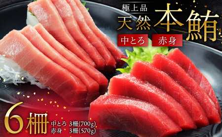 極上品 天然 本鮪 中とろ 3柵 ・ 赤身 3柵 M007-008-02 冷凍 マグロ