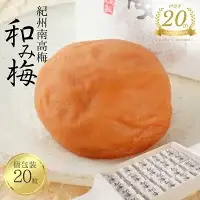 【田辺市20周年記念】 梅干し 紀州南高梅 和み梅 個包装20粒 / 紀州南高梅 南高梅 梅干し 梅干 梅 はちみつ  贈答用 田辺市 和歌山県 【umy026】