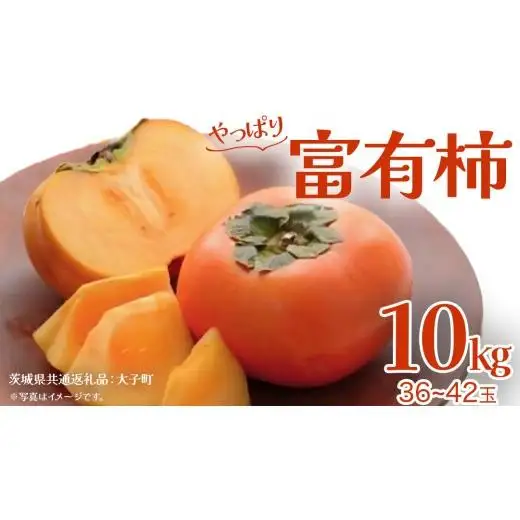 富有柿 約10kg (36～42玉)【2026年11月上旬発送開始】(茨城県共通返礼品：大子町)