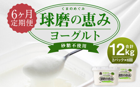 【6ヶ月定期便】球磨の恵 ヨーグルト 砂糖不使用 1kg×2パック×6回 合計12kg