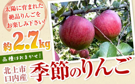 季節のりんご 約2.7kg（8～10個）B0417 品種おまかせ ふじ シナノゴールド