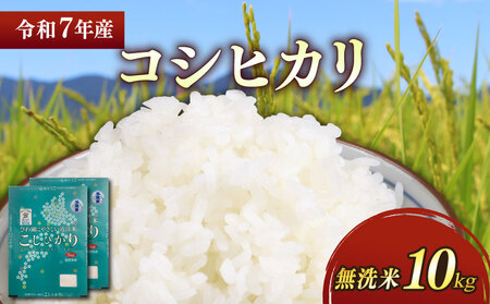 【無洗米】令和7年 彦根産 米 コシヒカリ 10kg（5kg×2袋）