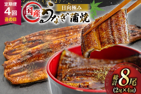 うなぎ 国産 【 丑の日 季節の定期便 】 日向極み うなぎ蒲焼 2尾 計250g [日向サンパーク 宮崎県 日向市 452061710]