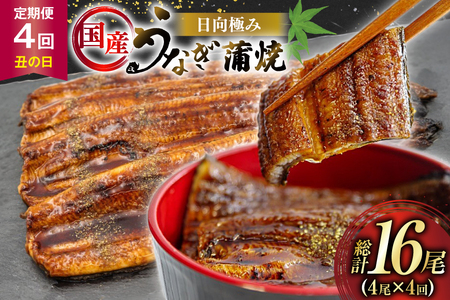うなぎ 国産 【 丑の日 季節の定期便 】 日向極み うなぎ蒲焼 4尾 計500g [日向サンパーク 宮崎県 日向市 452061711]