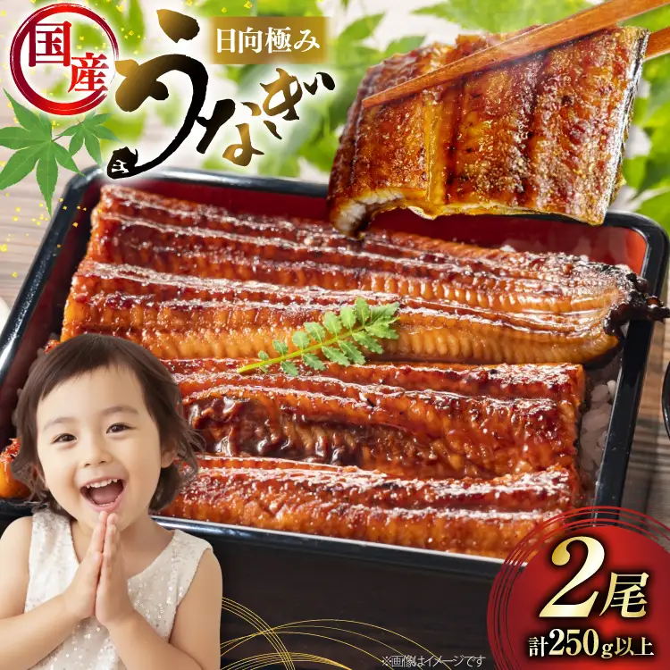うなぎ 国産 蒲焼 2尾 計250g以上 うなぎ [452061714]