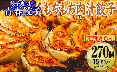 【定期便6ヶ月】餃子専門店青春餃子 もちもち肉汁餃子15個入り×3パック 45個（計270個）