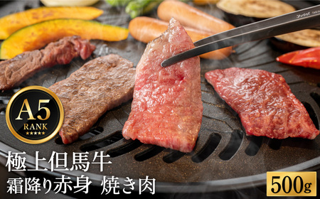 極上但馬牛 焼肉用 500g / 牛肉 焼肉 焼き肉 やきにく 黒毛和牛 赤身 霜降り 焼き肉用 黒毛和牛 国産牛 肉 国産 特産品 お祝い ギフト【但馬ビーフはまだ】