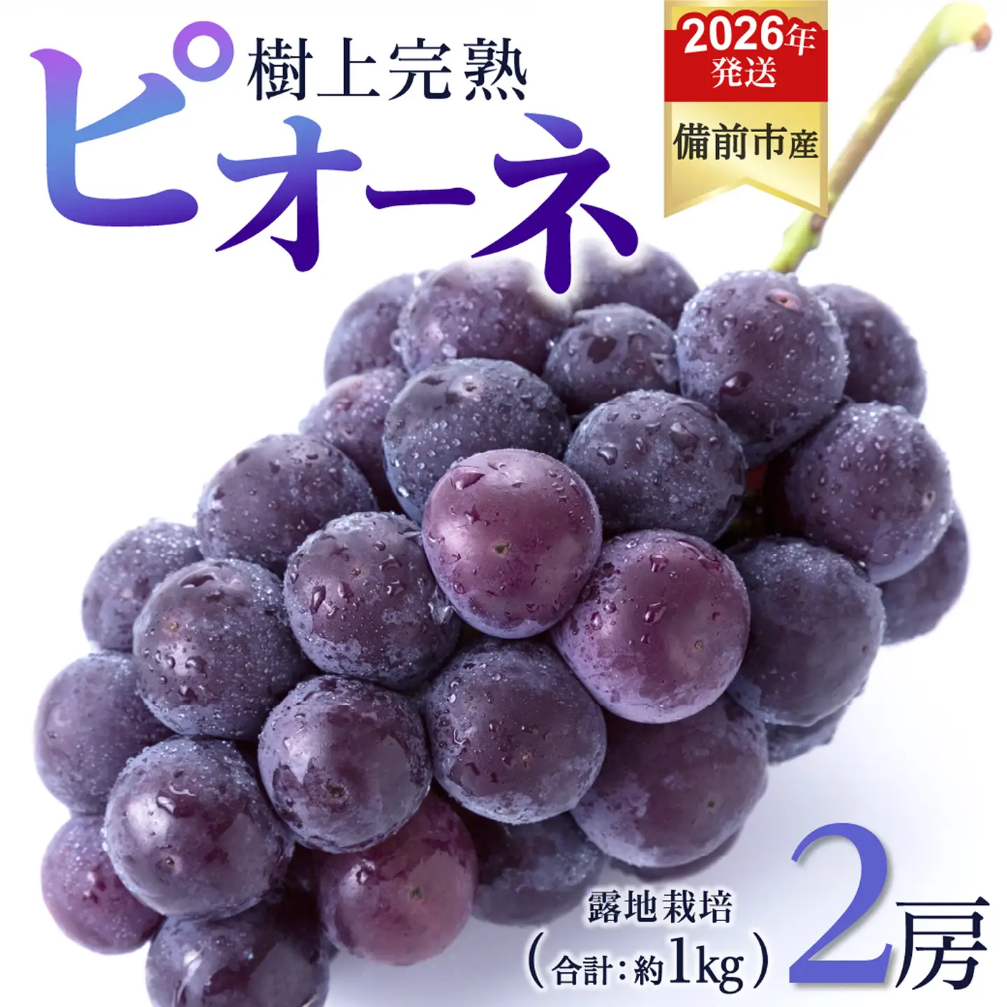 【2026年発送分　先行受付開始！】びぜん葡萄「ピオーネ」（露地栽培）2房入（令和8年8月中旬～9月中旬頃発送）【葡萄 ピオーネ】