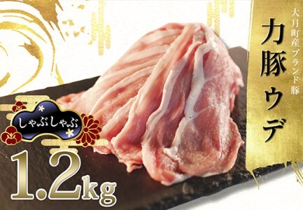 【国産】力豚 豚肉 ウデ肉1.2kg 小分け ブランド豚  炒め物 生姜焼き 豚汁 ポーク 冷凍