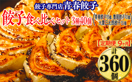 【定期便9ヶ月】餃子専門店青春餃子 餃子食べ比べセット 3種40個（青春餃子15個、豊岡餃子10個、大葉三太郎餃子15個）（計360個）