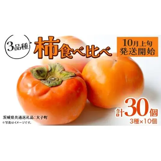柿 食べ比べ 3品種×10個【2026年10月上旬発送開始】(茨城県共通返礼品：大子町)