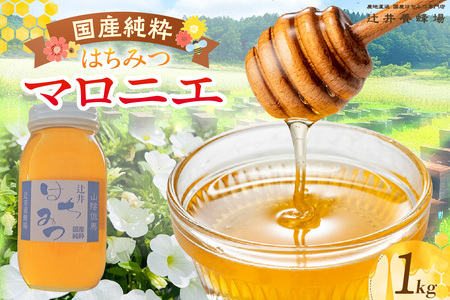 【国産純粋 マロニエはちみつ 1kg 瓶】国産 純粋 マロニエ はちみつ ハチミツ 蜂蜜 栃の木 やさしい 香り まろやか パン ヨーグルト おすすめ 兵庫県  辻井養蜂場 81-07
