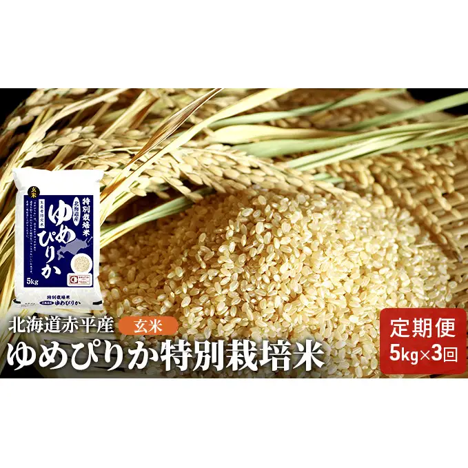 玄米 北海道赤平産 ゆめぴりか 5kg 特別栽培米 【3回お届け】 米 北海道 定期便 お米 ふるさと納税 