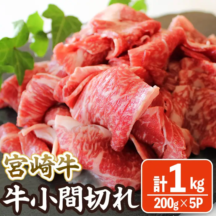 宮崎牛 小間切れ (計1kg・200g×5) 牛肉 精肉 お肉 黒毛和牛 ブランド和牛 切り落とし こま肉お取り寄せ 冷凍 国産 宮崎県 【MA-11】【株式会社マルミヤストア】