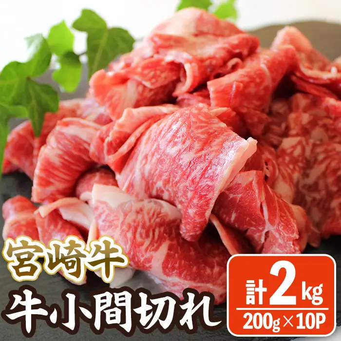宮崎牛 小間切れ (計2kg・200g×10) 牛肉 精肉 お肉 黒毛和牛 ブランド和牛 切り落とし こま肉お取り寄せ 冷凍 国産 宮崎県 【MA-12】【株式会社マルミヤストア】