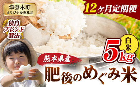 【12ヶ月定期便】熊本県産 白米 ブレンド米 肥後のめぐみ米 5kg 熊本県産 ふるさと納税 精米 米 こめ ふるさとのうぜい コメ お米 おこめ《お申込み翌月から出荷》