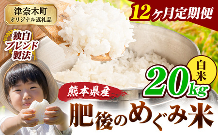 【12ヶ月定期便】熊本県産 白米 ブレンド米 肥後のめぐみ米 20kg 熊本県産 ふるさと納税 精米 米 こめ ふるさとのうぜい コメ お米 おこめ《お申込み翌月から出荷》
